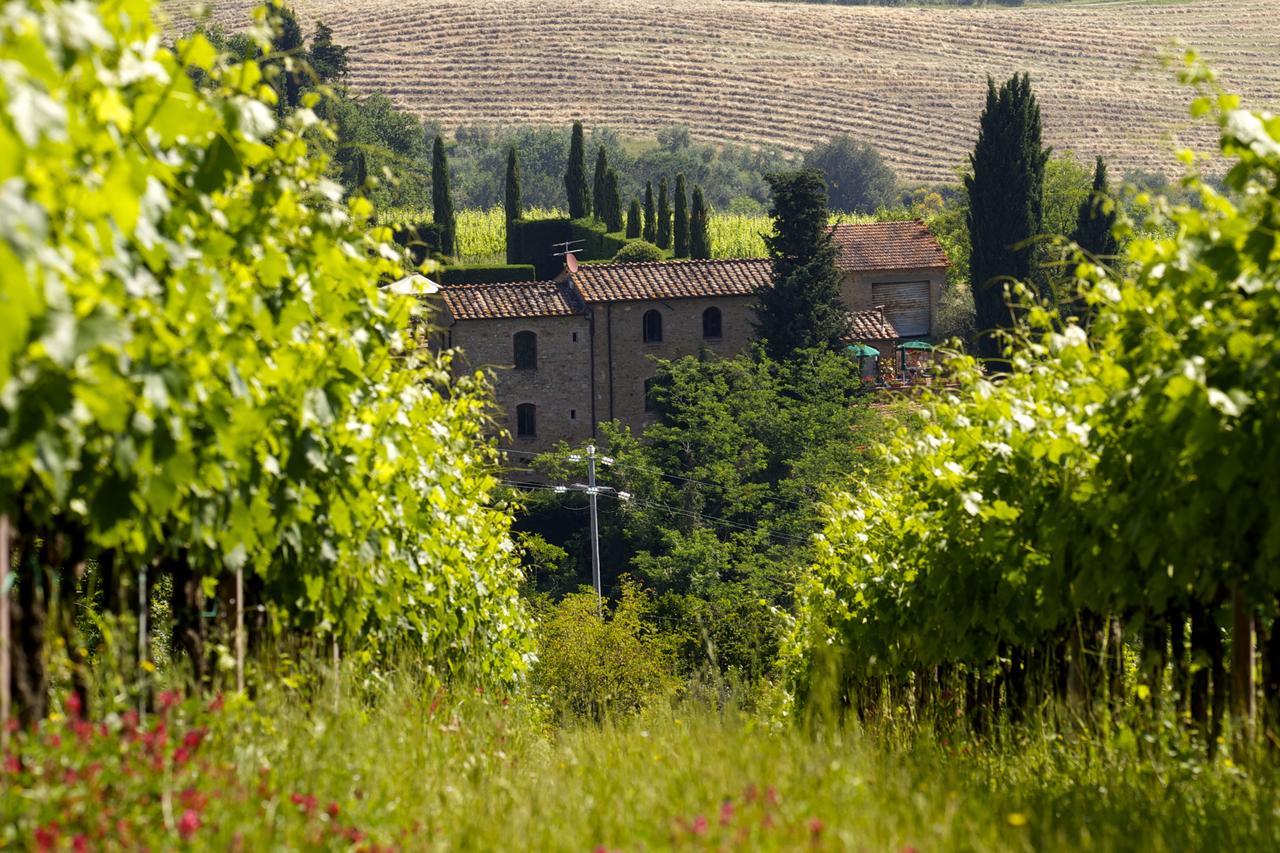 Rocca Degli Olivi Bed and Breakfast San Gimignano Exterior foto