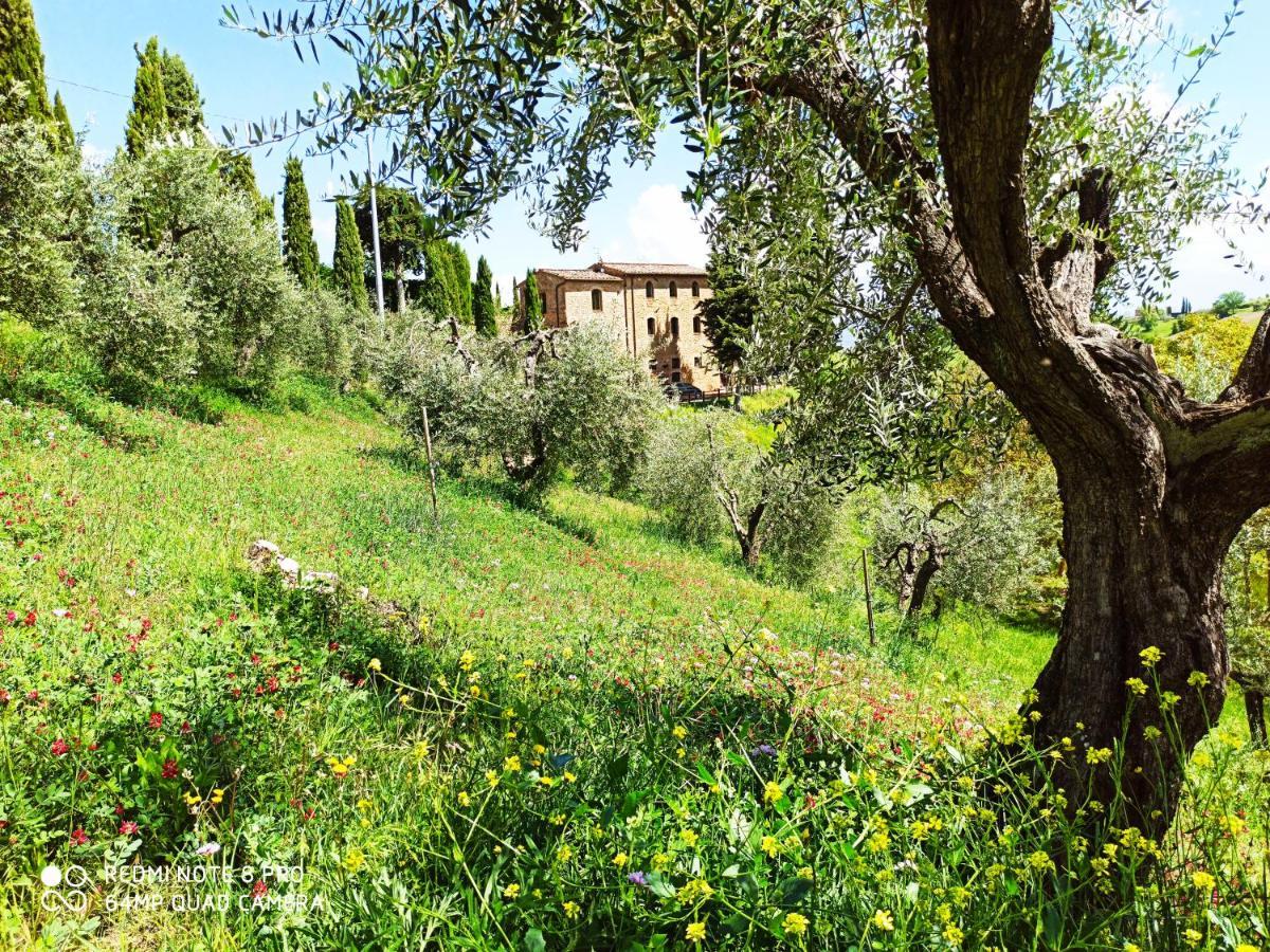 Rocca Degli Olivi Bed and Breakfast San Gimignano Exterior foto